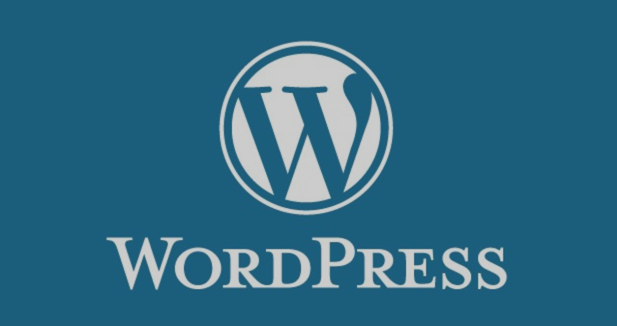 Audit et mise à jour WordPress